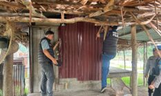 Sisir Kampung Bersinar, Satresnarkoba Meranti Temukan Pondok Mencurigakan